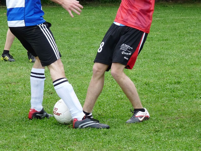 取得了长足 取得了长足