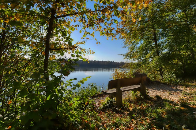 克里斯在比 克里斯在比