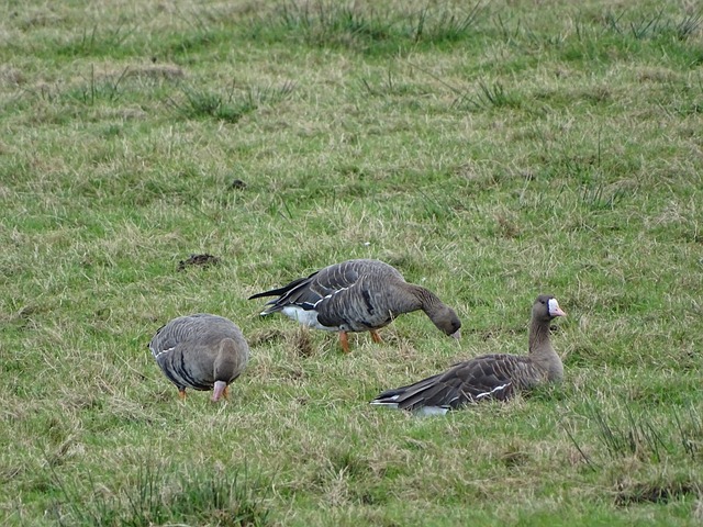 业最低点 业最低点