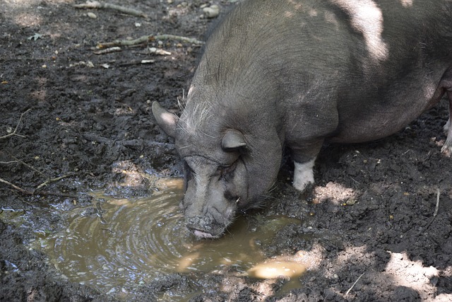 在每一场比 在每一场比